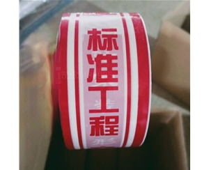天津印字PE保护...